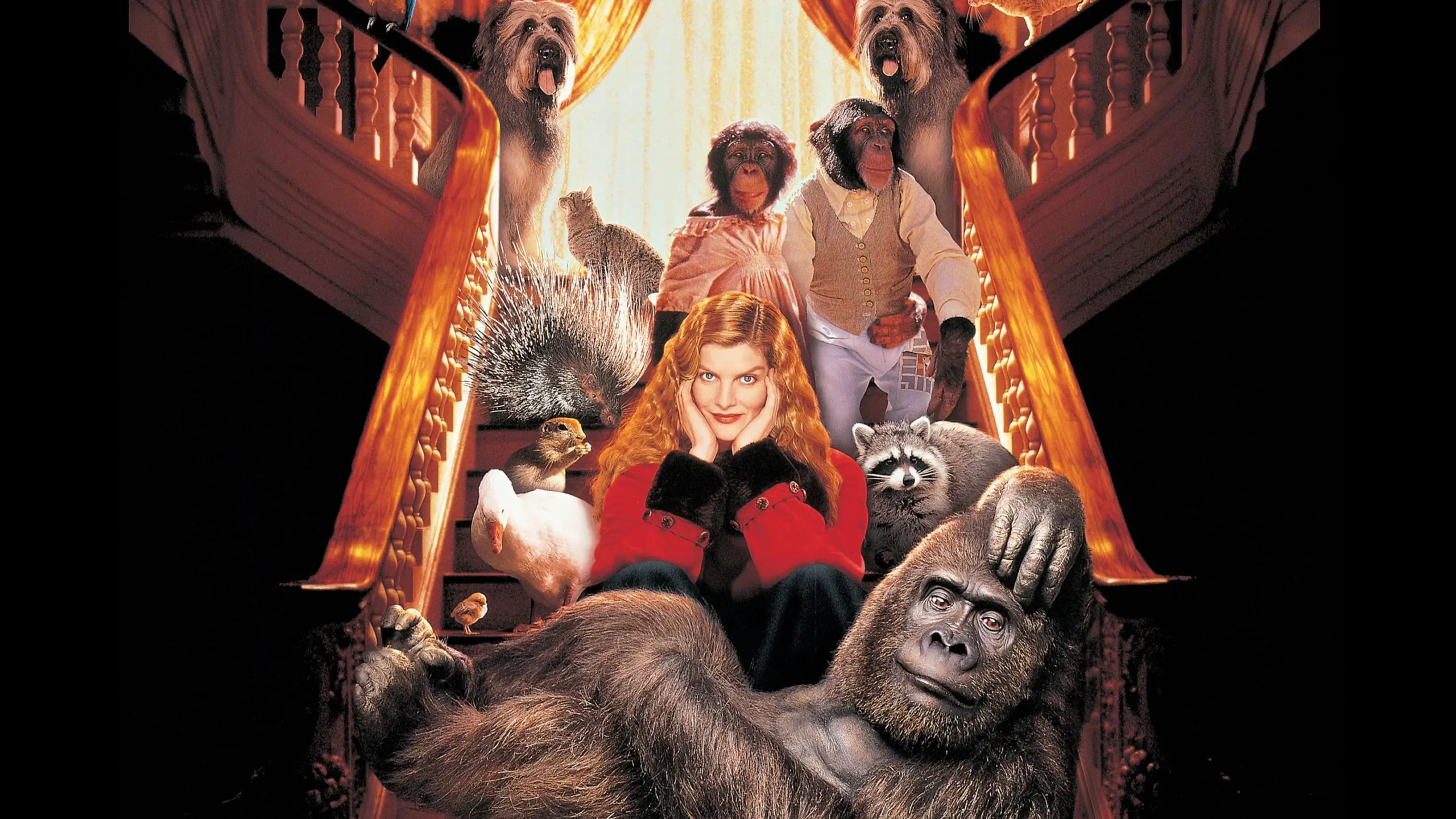 Buddy Movie