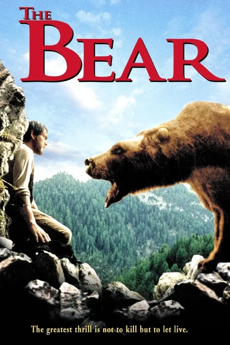 The Bear
